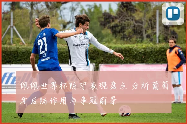 佩佩世界杯防守表现盘点 分析葡萄牙后防作用与争冠前景