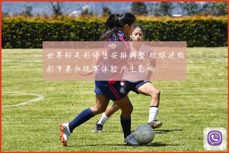 世界杯足彩停售安排调整 对球迷购彩节奏和观赛体验产生影响