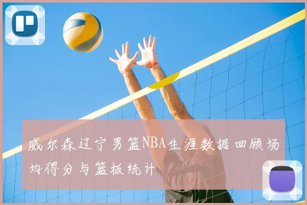 威尔森辽宁男篮NBA生涯数据回顾场均得分与篮板统计