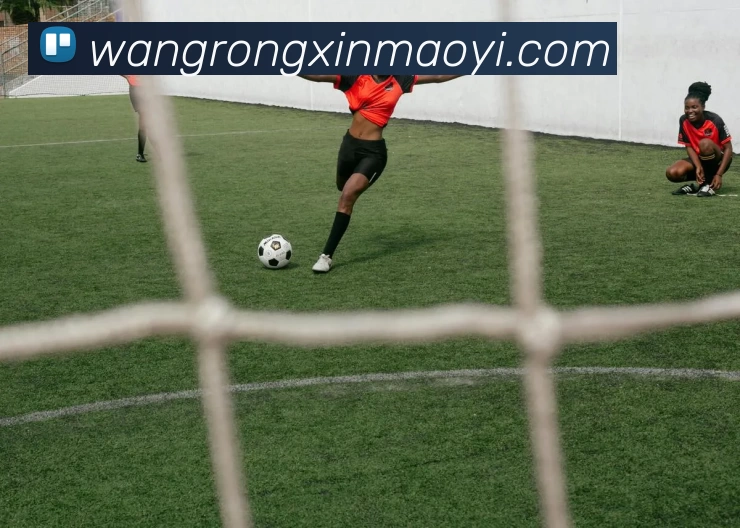 多媒体互动体验